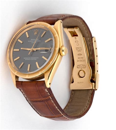 rolex ref.1501